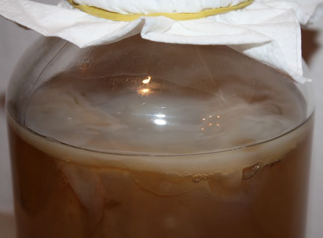 KOMBUCHA TE NEGRO.
