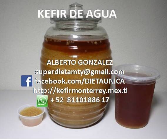 Kefir de agua en Monterrey